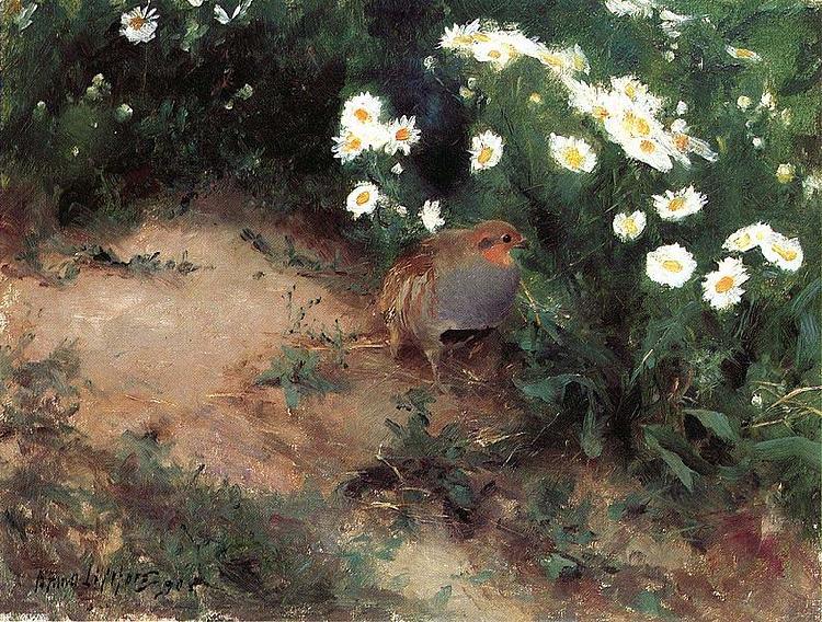 bruno liljefors Partridge with Daisies Germany oil painting art
